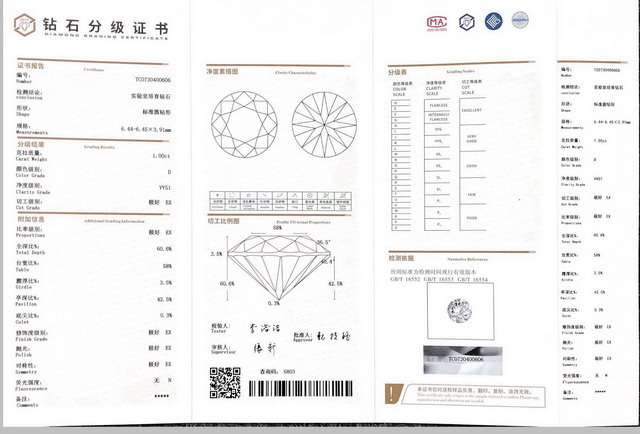 TC0005.jpg